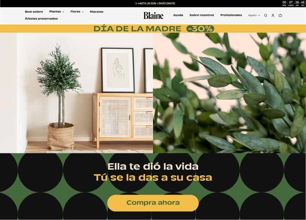 Dirección creativa para Blaine&nbsp;Box